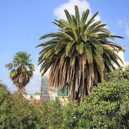 With Wifi - 8582 Appartement