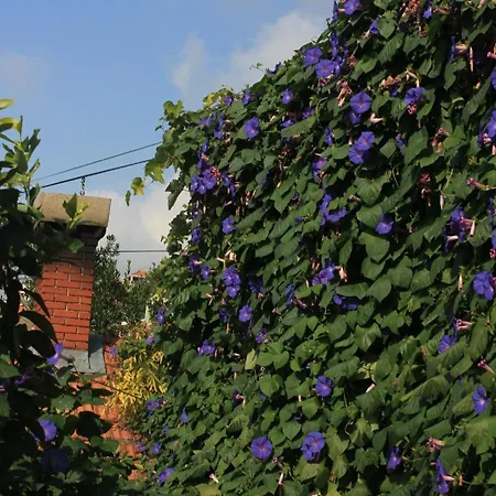 With Wifi - 8582 شقة *