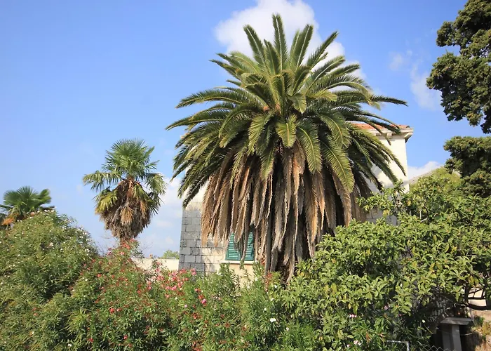 With Wifi - 8582 Apartman