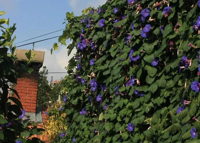 With Wifi - 8582 شقة *